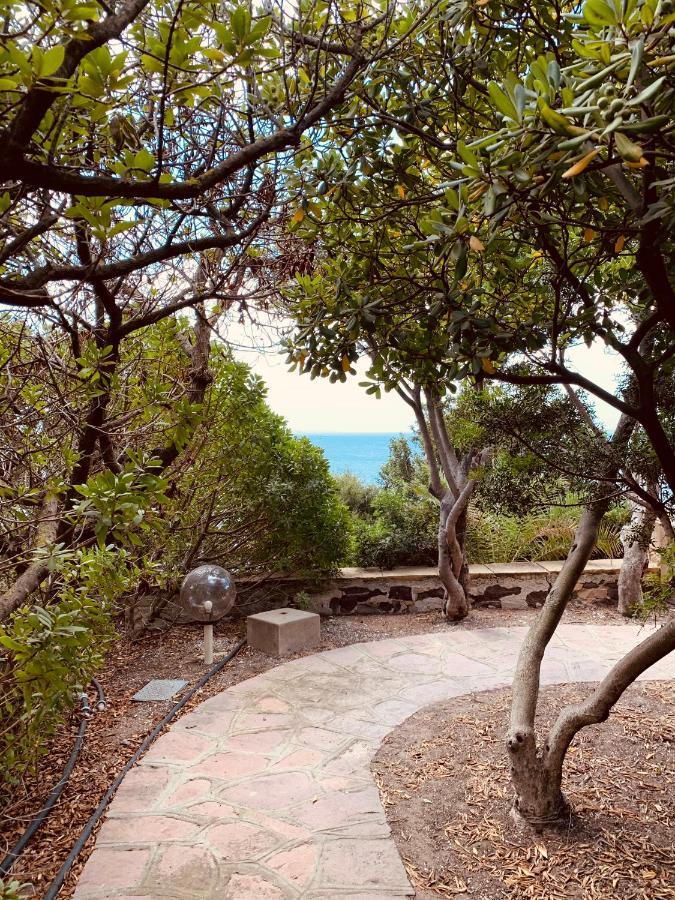卡洛福泰A Vacation On A Private Island别墅 外观 照片