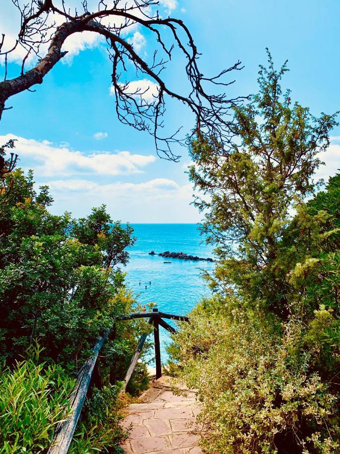 卡洛福泰A Vacation On A Private Island别墅 外观 照片